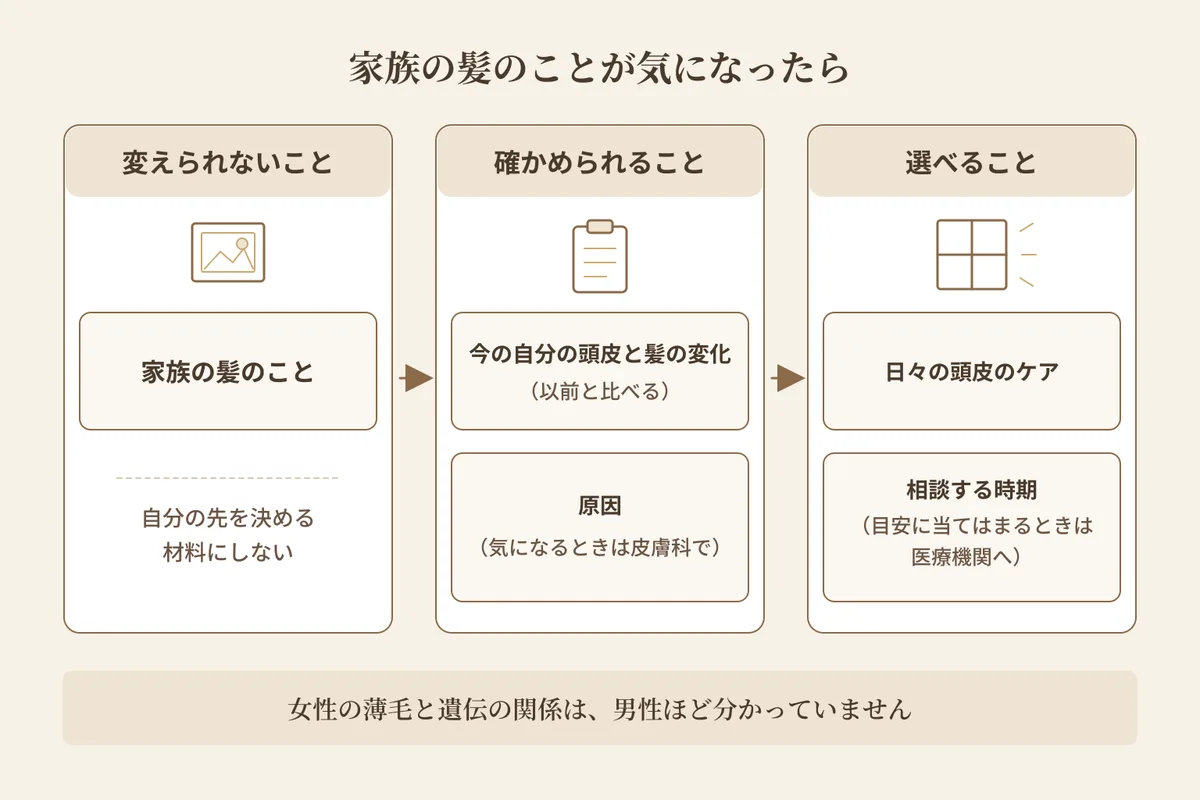 母や祖母の髪を見て遺伝が気になったときに、女性の薄毛と頭皮のことを、変えられないこと・確かめられること・選べることの3つに分けて考える図解。女性の薄毛と遺伝の関係は男性ほど分かっていないことも示している。見出しは「家族の髪のことが気になったら」。同じ大きさの3つの枠が横に並ぶ。1つ目は「変えられないこと」で、中に「家族の髪のこと」、添え書きに「自分の先を決める材料にしない」。2つ目は「確かめられること」で、中に「今の自分の頭皮と髪の変化（以前と比べる）」と「原因（気になるときは皮膚科で）」。3つ目は「選べること」で、中に「日々の頭皮のケア」と「相談する時期（目安に当てはまるときは医療機関へ）」。図の下に注として「女性の薄毛と遺伝の関係は、男性ほど分かっていません」とある。ケアから髪や家族へ戻る矢印、数字、×印は描かれていない。