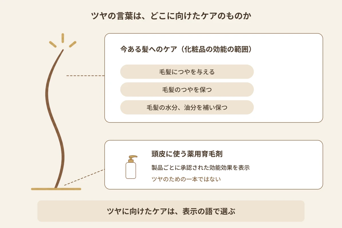 髪のツヤに向けるケアと、頭皮に使う薬用育毛剤の役割の違いを示す図解。見出しは「ツヤの言葉は、どこに向けたケアのものか」。毛先から根元、その下の地肌までの1本の髪が縦に描かれている。上側の髪の表面には「今ある髪へのケア(化粧品の効能の範囲)」の帯がある。その下に「毛髪につやを与える」「毛髪のつやを保つ」「毛髪の水分、油分を補い保つ」と並ぶ。下側の地肌には「頭皮に使う薬用育毛剤」の帯がある。添え書きは「製品ごとに承認された効能効果を表示」「ツヤのための一本ではない」。2つの帯は矢印でつながっていない。下に「ツヤに向けたケアは、表示の語で選ぶ」とまとめてある