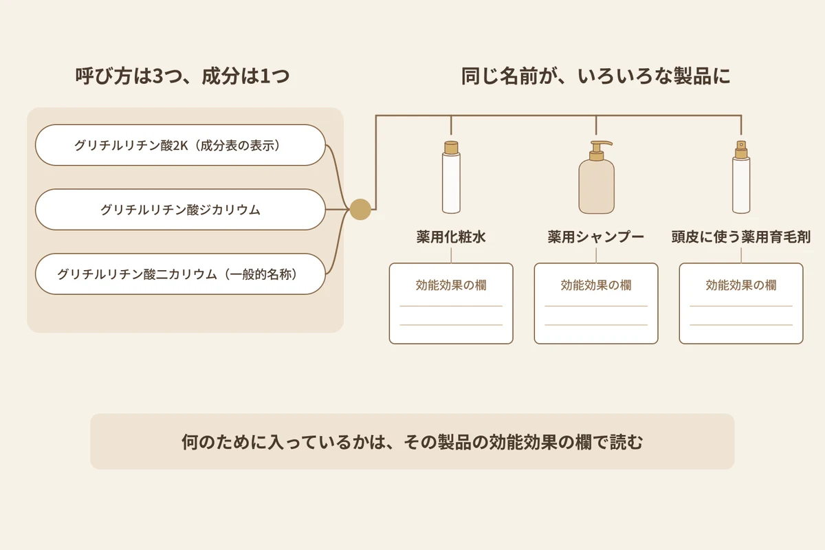 グリチルリチン酸2Kとグリチルリチン酸ジカリウムが同じ成分であることと、何のために入っているかを読む場所を示す図解。左の見出しは「呼び方は3つ、成分は1つ」。左には「グリチルリチン酸2K(成分表の表示)」と「グリチルリチン酸ジカリウム」の札がある。「グリチルリチン酸二カリウム(一般的名称)」の札とあわせた3つから、線が1つの成分に集まる。右の見出しは「同じ名前が、いろいろな製品に」。1つの名前から「薬用化粧水」「薬用シャンプー」「頭皮に使う薬用育毛剤」の容器へ線が分かれる。どの容器の下にも、中身が空白の「効能効果の欄」がある。下端の結論は「何のために入っているかは、その製品の効能効果の欄で読む」。効能の言葉や配合量の数値は描かれていない