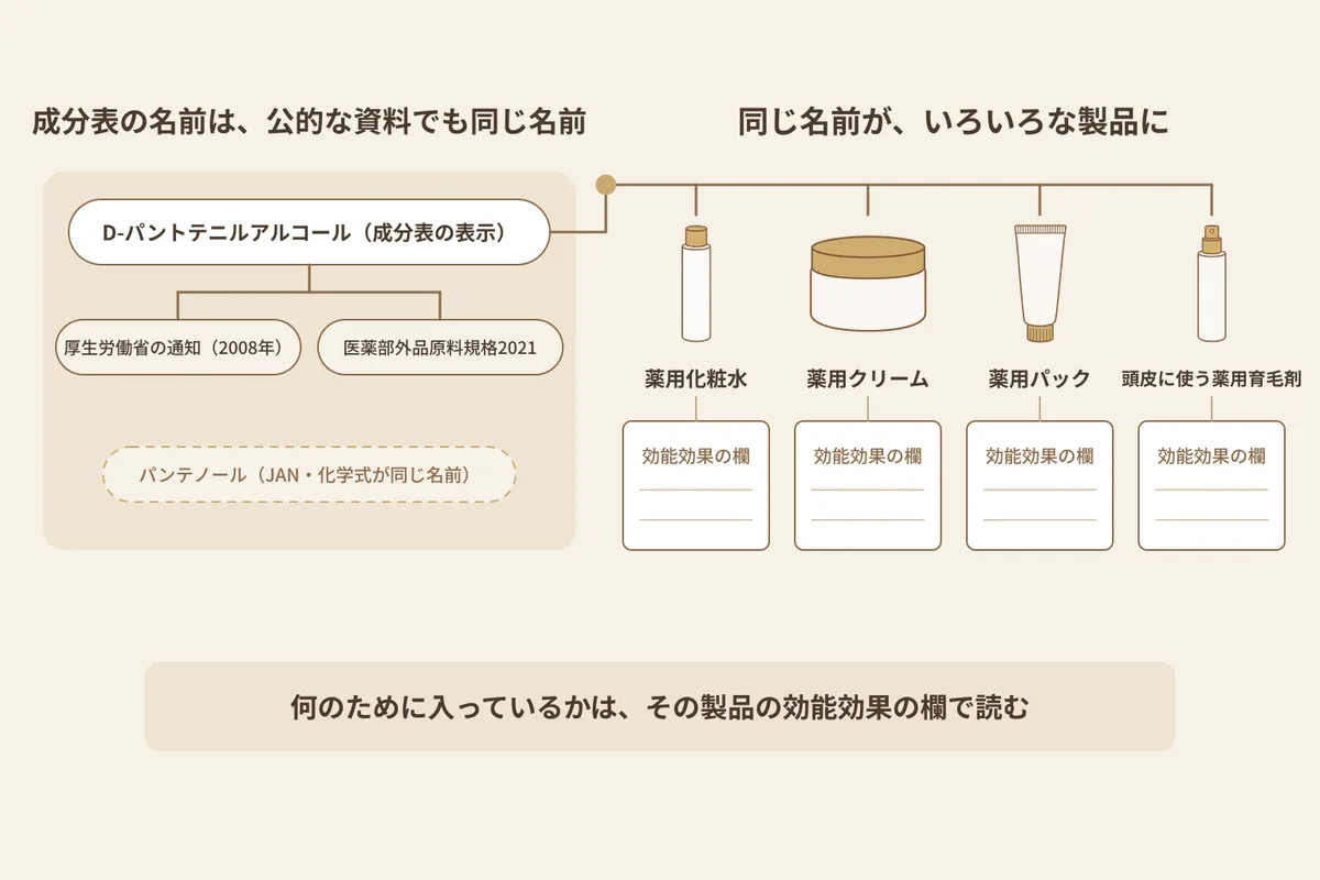D-パントテニルアルコールの名前と資料の対応、そして入っている目的を読む場所を示す図解。左側の見出しは「成分表の名前は、公的な資料でも同じ名前」。大きな札は「D-パントテニルアルコール(成分表の表示)」。その下に、「厚生労働省の通知(2008年)」と「医薬部外品原料規格2021」の2つの小札が並ぶ。さらにその下に、点線の枠で「パンテノール(JAN・化学式が同じ名前)」の小札があり、線ではつながれていない。右側の見出しは「同じ名前が、いろいろな製品に」。名前の札から「薬用化粧水」「薬用クリーム」「薬用パック」「頭皮に使う薬用育毛剤」の4つの容器へ線が分かれる。それぞれの容器の下に、中が空白の「効能効果の欄」が置かれている。いちばん下の結論は「何のために入っているかは、その製品の効能効果の欄で読む」。効能の語、配合量、化学式は描かれていない
